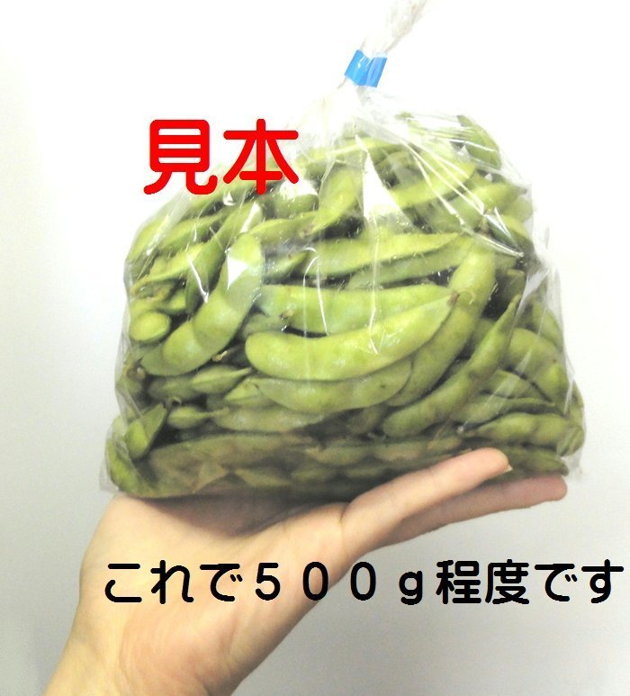 枝豆５００ｇ見本.JPG