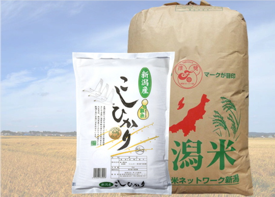 コシヒカリ 新米 30kg 新米】【無洗米】新潟県産コシヒカリ 30kg(5kg×6袋) 令和5年産
